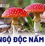 Gây Mê Hồi Sức Là Gì