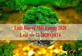 Luật Bảo Vệ Môi Trường Năm 2020 Quy Định Bao Nhiêu Nguyên Tắc Bảo Vệ Môi Trường