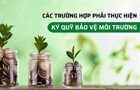 Quỹ Môi Trường