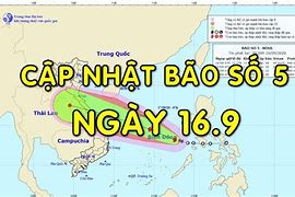 Tin Bão Mới Nhất Số 5