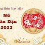 Xem Tử Vi Tuổi Tân Dậu 1981 Năm 2023